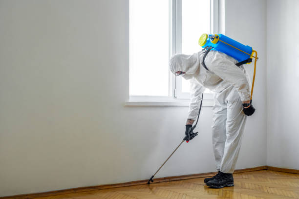 Indoor Pest Control in Lake Junaluska, NC